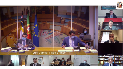 Verificação de poderes dos Srs. Deputados Rui Miguel Oliveira Martins e Pedro Gabriel Correia Nunes Teixeira Pinto