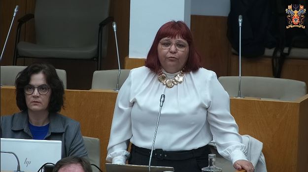 Terceira alteração ao Decreto Legislativo Regional n.º 14/2024/A, de 24 de dezembro