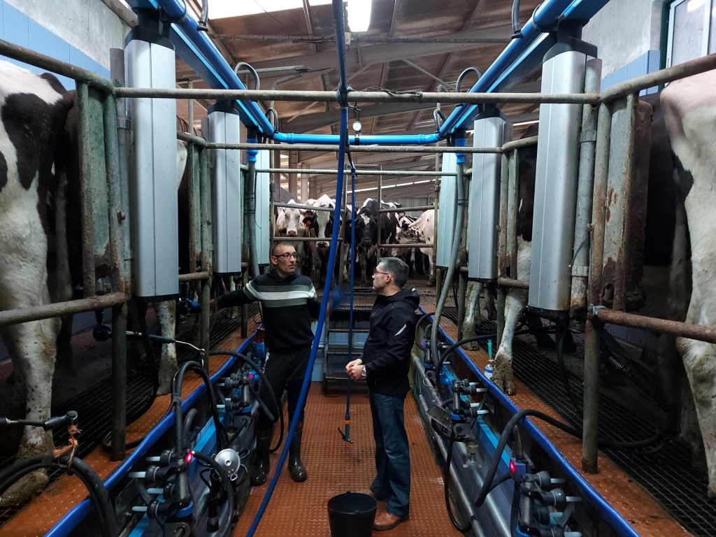 Visita do Presidente da ALRAA à Graciosa
